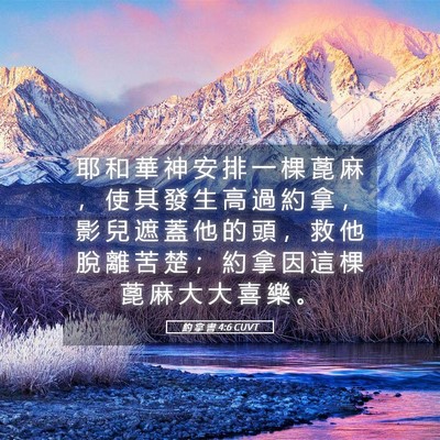 Picture 05 - 約 拿 書 4:6 CUVT - 耶 和 華 神 安 排 一 棵 蓖 麻 ， 使 - Bible Verse Picture