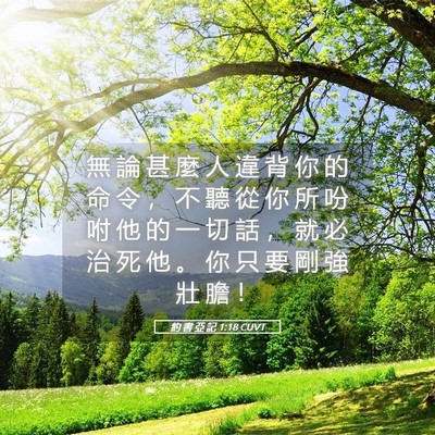 Picture 05 - 約 書 亞 記 1:18 CUVT - 無 論 甚 麼 人 違 背 你 的 命 令 ， - Bible Verse Picture