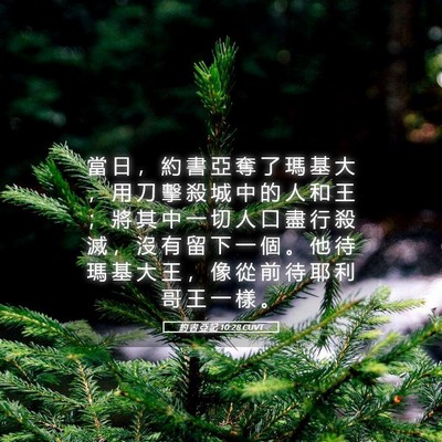 Picture 05 - 約 書 亞 記 10:28 CUVT - 當 日 ， 約 書 亞 奪 了 瑪 基 大 ， - Bible Verse Picture