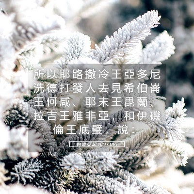 Picture 05 - 約 書 亞 記 10:3 CUVT - 所 以 耶 路 撒 冷 王 亞 多 尼 洗 德 - Bible Verse Picture