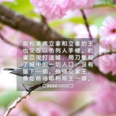 Picture 05 - 約 書 亞 記 10:30 CUVT - 耶 和 華 將 立 拿 和 立 拿 的 王 也 - Bible Verse Picture