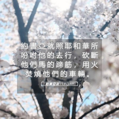 Picture 05 - 約 書 亞 記 11:9 CUVT - 約 書 亞 就 照 耶 和 華 所 吩 咐 他 - Bible Verse Picture
