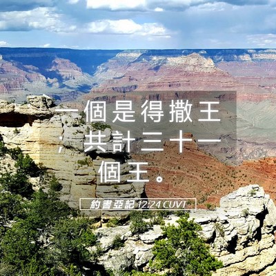 Picture 05 - 約 書 亞 記 12:24 CUVT - 一 個 是 得 撒 王 ； 共 計 三 十 一 - Bible Verse Picture