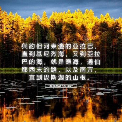Picture 05 - 約 書 亞 記 12:3 CUVT - 與 約 但 河 東 邊 的 亞 拉 巴 ， 直 - Bible Verse Picture