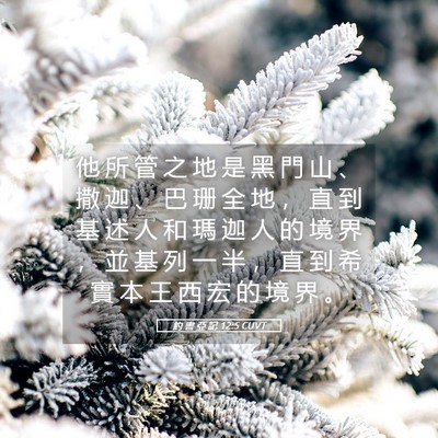 Picture 05 - 約 書 亞 記 12:5 CUVT - 他 所 管 之 地 是 黑 門 山 、 撒 迦 - Bible Verse Picture