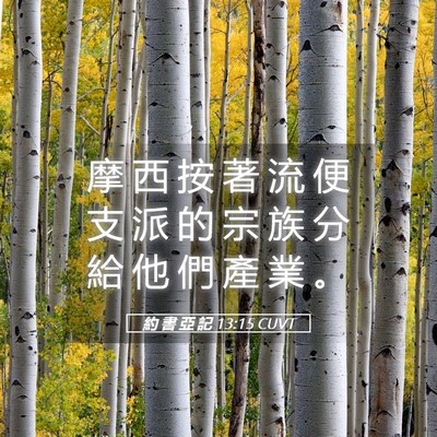 Picture 05 - 約 書 亞 記 13:15 CUVT - 摩 西 按 著 流 便 支 派 的 宗 族 分 - Bible Verse Picture