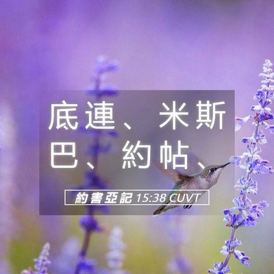 Picture 05 - 約 書 亞 記 15:38 CUVT - 底 連 、 米 斯 巴 、 約 帖 - Bible Verse Picture