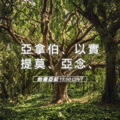 Picture 05 - 約 書 亞 記 15:50 CUVT - 亞 拿 伯 、 以 實 提 莫 、 亞 念 - Bible Verse Picture