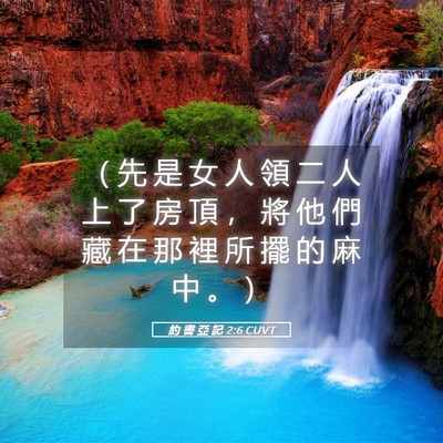 Picture 05 - 約 書 亞 記 2:6 CUVT - （ 先 是 女 人 領 二 人 上 了 房 頂 - Bible Verse Picture