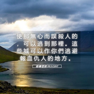 Picture 05 - 約 書 亞 記 20:3 CUVT - 使 那 無 心 而 誤 殺 人 的 ， 可 以 - Bible Verse Picture