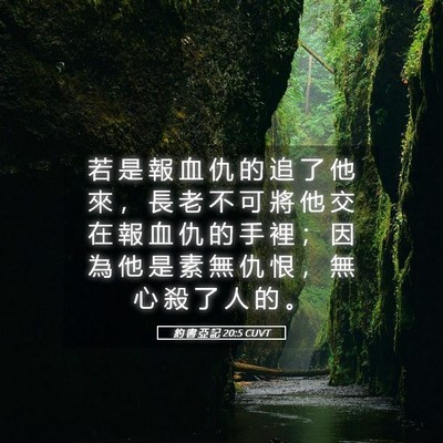 Picture 05 - 約 書 亞 記 20:5 CUVT - 若 是 報 血 仇 的 追 了 他 來 ， 長 - Bible Verse Picture