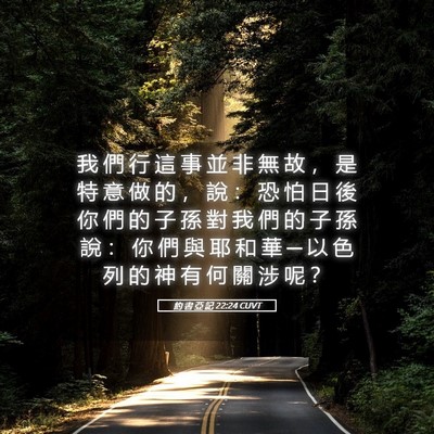 Picture 05 - 約 書 亞 記 22:24 CUVT - 我 們 行 這 事 並 非 無 故 ， 是 特 - Bible Verse Picture