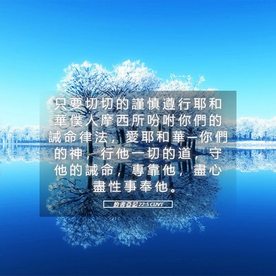 Picture 05 - 約 書 亞 記 22:5 CUVT - 只 要 切 切 的 謹 慎 遵 行 耶 和 華 - Bible Verse Picture