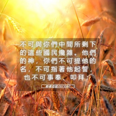 Picture 05 - 約 書 亞 記 23:7 CUVT - 不 可 與 你 們 中 間 所 剩 下 的 這 - Bible Verse Picture