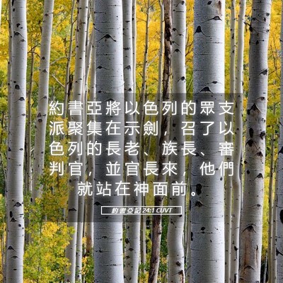 Picture 05 - 約 書 亞 記 24:1 CUVT - 約 書 亞 將 以 色 列 的 眾 支 派 聚 - Bible Verse Picture