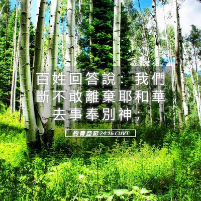 Picture 05 - 約 書 亞 記 24:16 CUVT - 百 姓 回 答 說 ： 我 們 斷 不 敢 離 - Bible Verse Picture