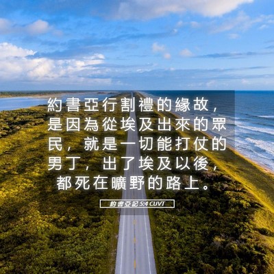 Picture 05 - 約 書 亞 記 5:4 CUVT - 約 書 亞 行 割 禮 的 緣 故 ， 是 因 - Bible Verse Picture