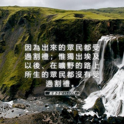 Picture 05 - 約 書 亞 記 5:5 CUVT - 因 為 出 來 的 眾 民 都 受 過 割 禮 - Bible Verse Picture