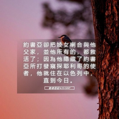 Picture 05 - 約 書 亞 記 6:25 CUVT - 約 書 亞 卻 把 妓 女 喇 合 與 他 父 - Bible Verse Picture