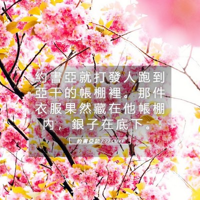 Picture 05 - 約 書 亞 記 7:22 CUVT - 約 書 亞 就 打 發 人 跑 到 亞 干 的 - Bible Verse Picture