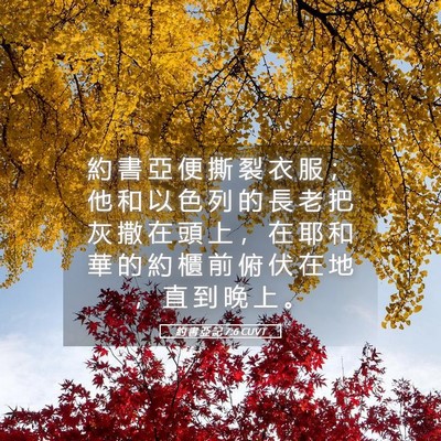 Picture 05 - 約 書 亞 記 7:6 CUVT - 約 書 亞 便 撕 裂 衣 服 ； 他 和 以 - Bible Verse Picture