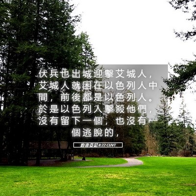 Picture 05 - 約 書 亞 記 8:22 CUVT - 伏 兵 也 出 城 迎 擊 艾 城 人 ， 艾 - Bible Verse Picture