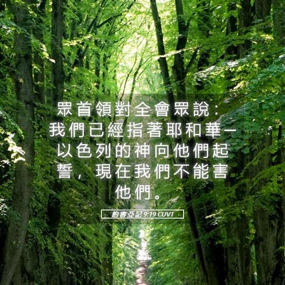 Picture 05 - 約 書 亞 記 9:19 CUVT - 眾 首 領 對 全 會 眾 說 ： 我 們 已 - Bible Verse Picture