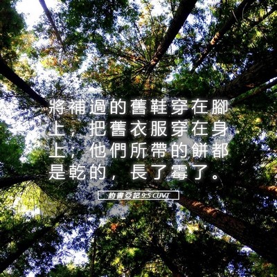 Picture 05 - 約 書 亞 記 9:5 CUVT - 將 補 過 的 舊 鞋 穿 在 腳 上 ， 把 - Bible Verse Picture