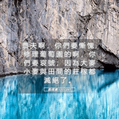 Picture 05 - 約 珥 書 1:11 CUVT - 農 夫 啊 ， 你 們 要 慚 愧 , 修 理 葡 - Bible Verse Picture