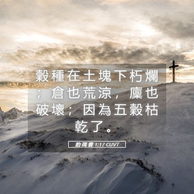 Picture 05 - 約 珥 書 1:17 CUVT - 穀 種 在 土 塊 下 朽 爛 ； 倉 也 荒 - Bible Verse Picture