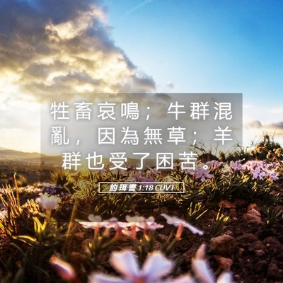 Picture 05 - 約 珥 書 1:18 CUVT - 牲 畜 哀 鳴 ； 牛 群 混 亂 ， 因 為 - Bible Verse Picture
