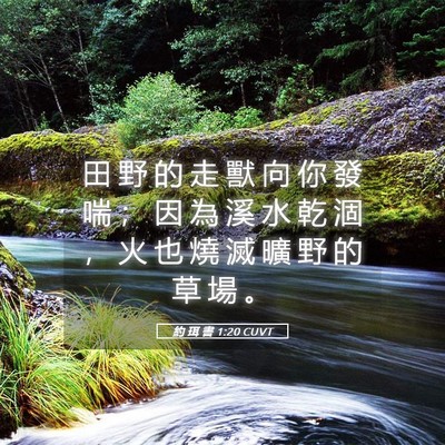 Picture 05 - 約 珥 書 1:20 CUVT - 田 野 的 走 獸 向 你 發 喘 ； 因 為 - Bible Verse Picture