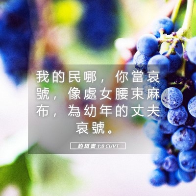 Picture 05 - 約 珥 書 1:8 CUVT - 我 的 民 哪 ， 你 當 哀 號 ， 像 處 - Bible Verse Picture