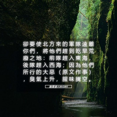 Picture 05 - 約 珥 書 2:20 CUVT - 卻 要 使 北 方 來 的 軍 隊 遠 離 你 - Bible Verse Picture