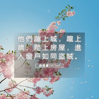 Picture 05 - 約 珥 書 2:9 CUVT - 他 們 蹦 上 城 ， 躥 上 牆 ， 爬 上 - Bible Verse Picture