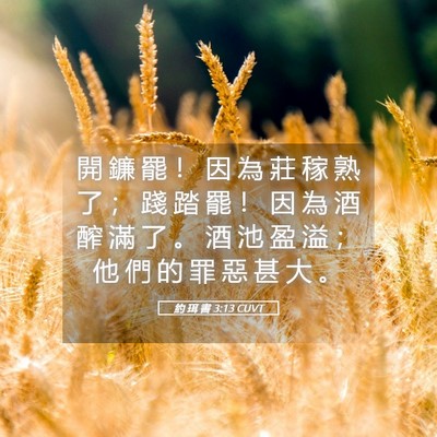 Picture 05 - 約 珥 書 3:13 CUVT - 開 鐮 罷 ！ 因 為 莊 稼 熟 了 ； 踐 - Bible Verse Picture