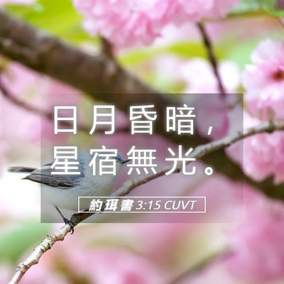 Picture 05 - 約 珥 書 3:15 CUVT - 日 月 昏 暗 ， 星 宿 無 光 - Bible Verse Picture