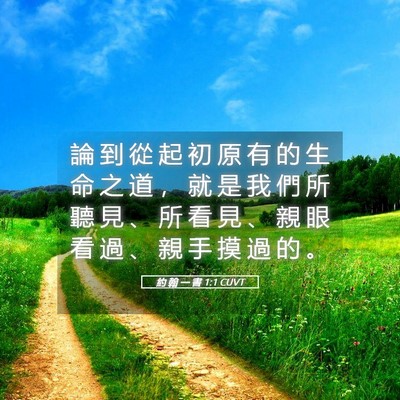Picture 05 - 約 翰 一 書 1:1 CUVT - 論 到 從 起 初 原 有 的 生 命 之 道 - Bible Verse Picture