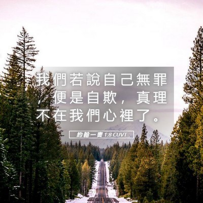 Picture 05 - 約 翰 一 書 1:8 CUVT - 我 們 若 說 自 己 無 罪 ， 便 是 自 - Bible Verse Picture