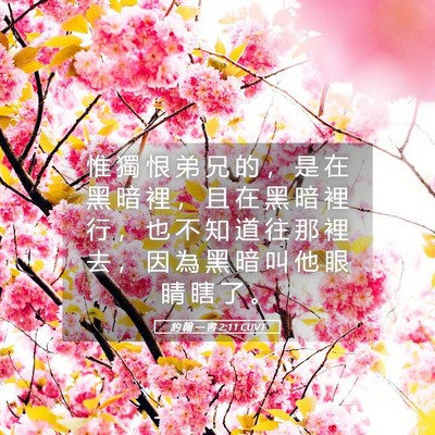 Picture 05 - 約 翰 一 書 2:11 CUVT - 惟 獨 恨 弟 兄 的 ， 是 在 黑 暗 裡 - Bible Verse Picture