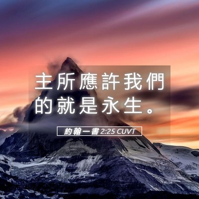 Picture 05 - 約 翰 一 書 2:25 CUVT - 主 所 應 許 我 們 的 就 是 永 生 - Bible Verse Picture