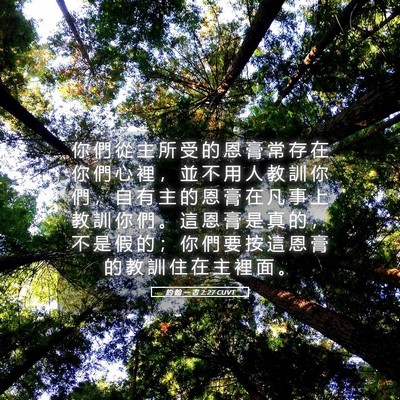 Picture 05 - 約 翰 一 書 2:27 CUVT - 你 們 從 主 所 受 的 恩 膏 常 存 在 - Bible Verse Picture