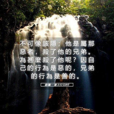Picture 05 - 約 翰 一 書 3:12 CUVT - 不 可 像 該 隱 ； 他 是 屬 那 惡 者 - Bible Verse Picture