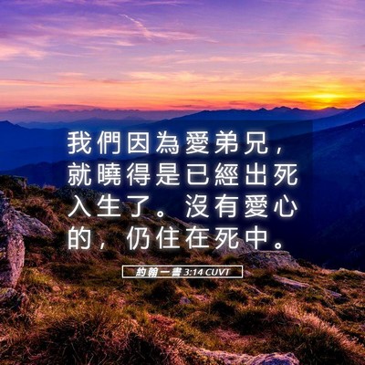 Picture 05 - 約 翰 一 書 3:14 CUVT - 我 們 因 為 愛 弟 兄 ， 就 曉 得 是 - Bible Verse Picture