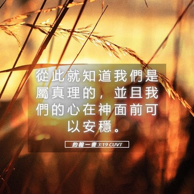 Picture 05 - 約 翰 一 書 3:19 CUVT - 從 此 就 知 道 我 們 是 屬 真 理 的 - Bible Verse Picture