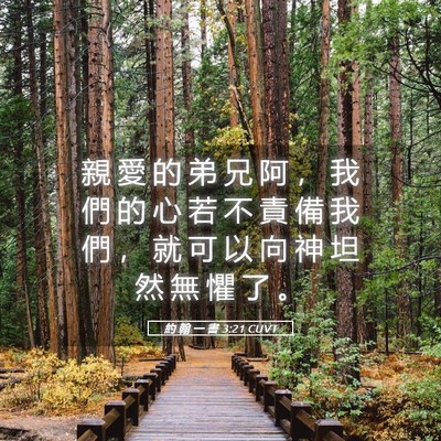 Picture 05 - 約 翰 一 書 3:21 CUVT - 親 愛 的 弟 兄 阿 ， 我 們 的 心 若 - Bible Verse Picture