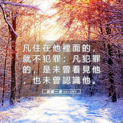 Picture 05 - 約 翰 一 書 3:6 CUVT - 凡 住 在 他 裡 面 的 ， 就 不 犯 罪 - Bible Verse Picture