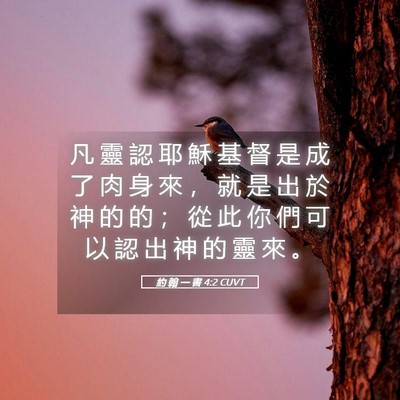 Picture 05 - 約 翰 一 書 4:2 CUVT - 凡 靈 認 耶 穌 基 督 是 成 了 肉 身 - Bible Verse Picture