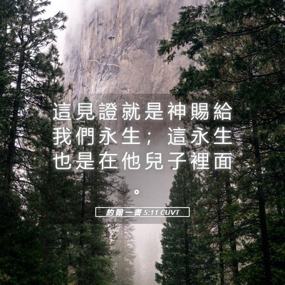 Picture 05 - 約 翰 一 書 5:11 CUVT - 這 見 證 就 是 神 賜 給 我 們 永 生 - Bible Verse Picture