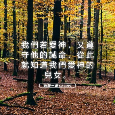 Picture 05 - 約 翰 一 書 5:2 CUVT - 我 們 若 愛 神 ， 又 遵 守 他 的 誡 - Bible Verse Picture